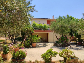 Cretan Rural Stay in Olive Grove Cottage